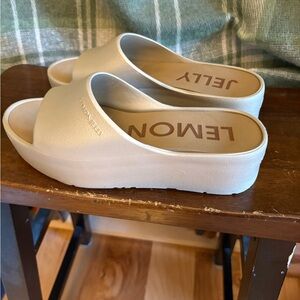 Lemon Jelly Sunny Platform Slide Mules in warm gray 9